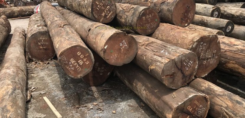 Cột nhà gỗ Gõ Đỏ châu phi -