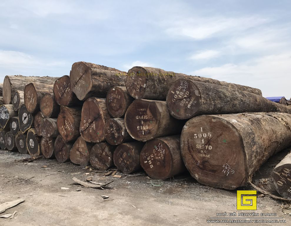 nha-go-go-do-chau-phi-nha-go-nguyen-giang-