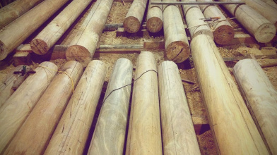 Vật Liệu Gỗ Nào Làm Nhà Tốt Nhất, Bền Nhất Và Đẹp Nhất?