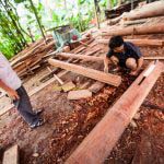 Làm Nhà Gỗ, Nhà gỗ Sến