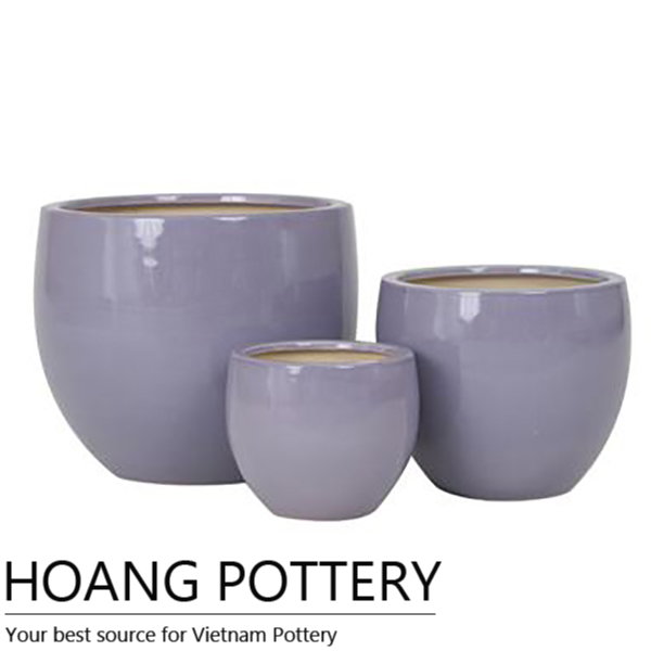 glow in the dark plant pots Mother's Day Special: Light Bio Firefly Petunia with Ceramic Pot and Digital Card 2 Plant Set + Digital Card