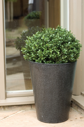 planters for entrence planters for entrence