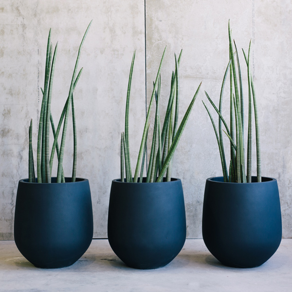 concrete-planter (2)