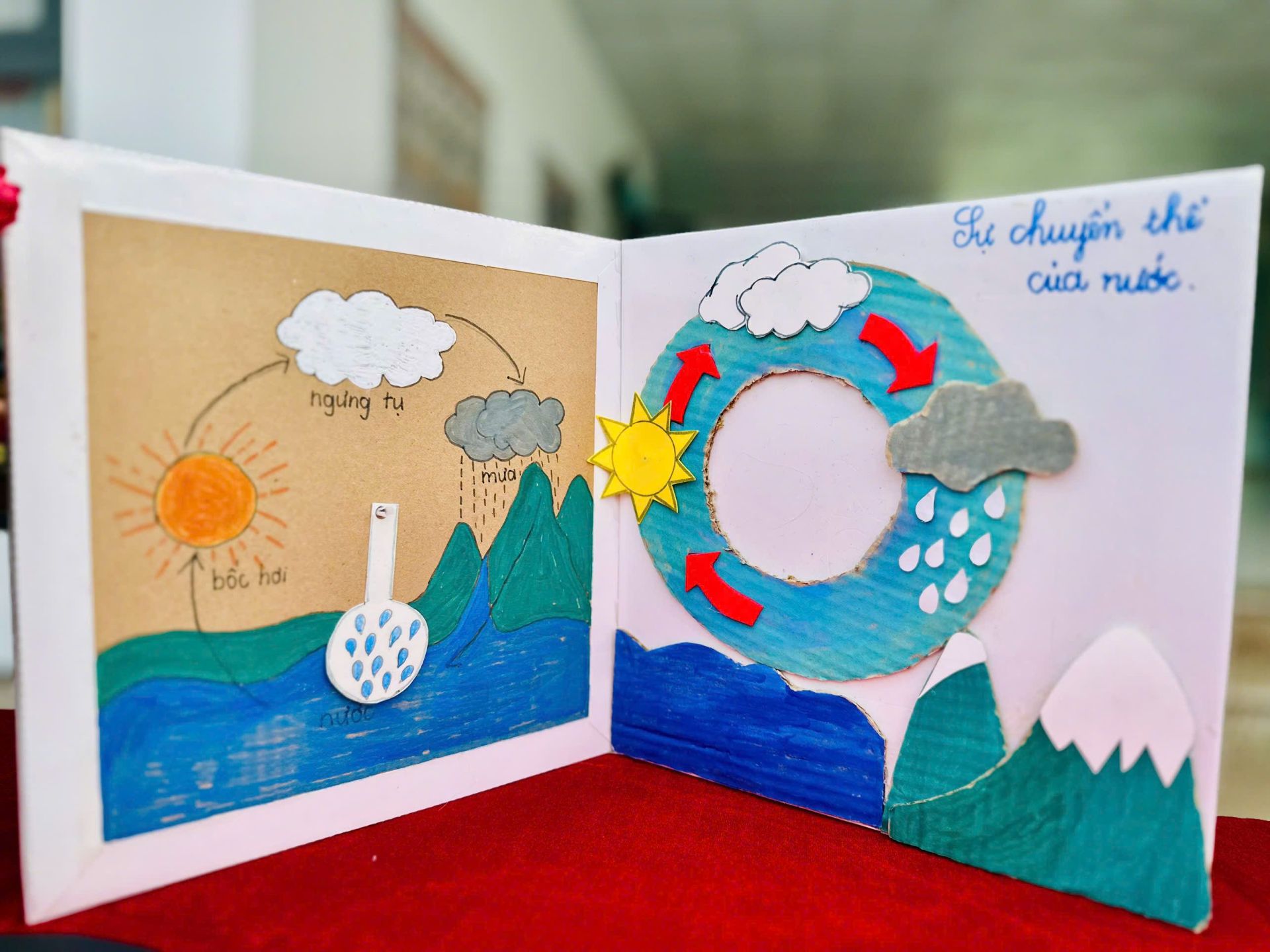 z6644676536088_0cbe26933797249e999a2310761d5e05-12