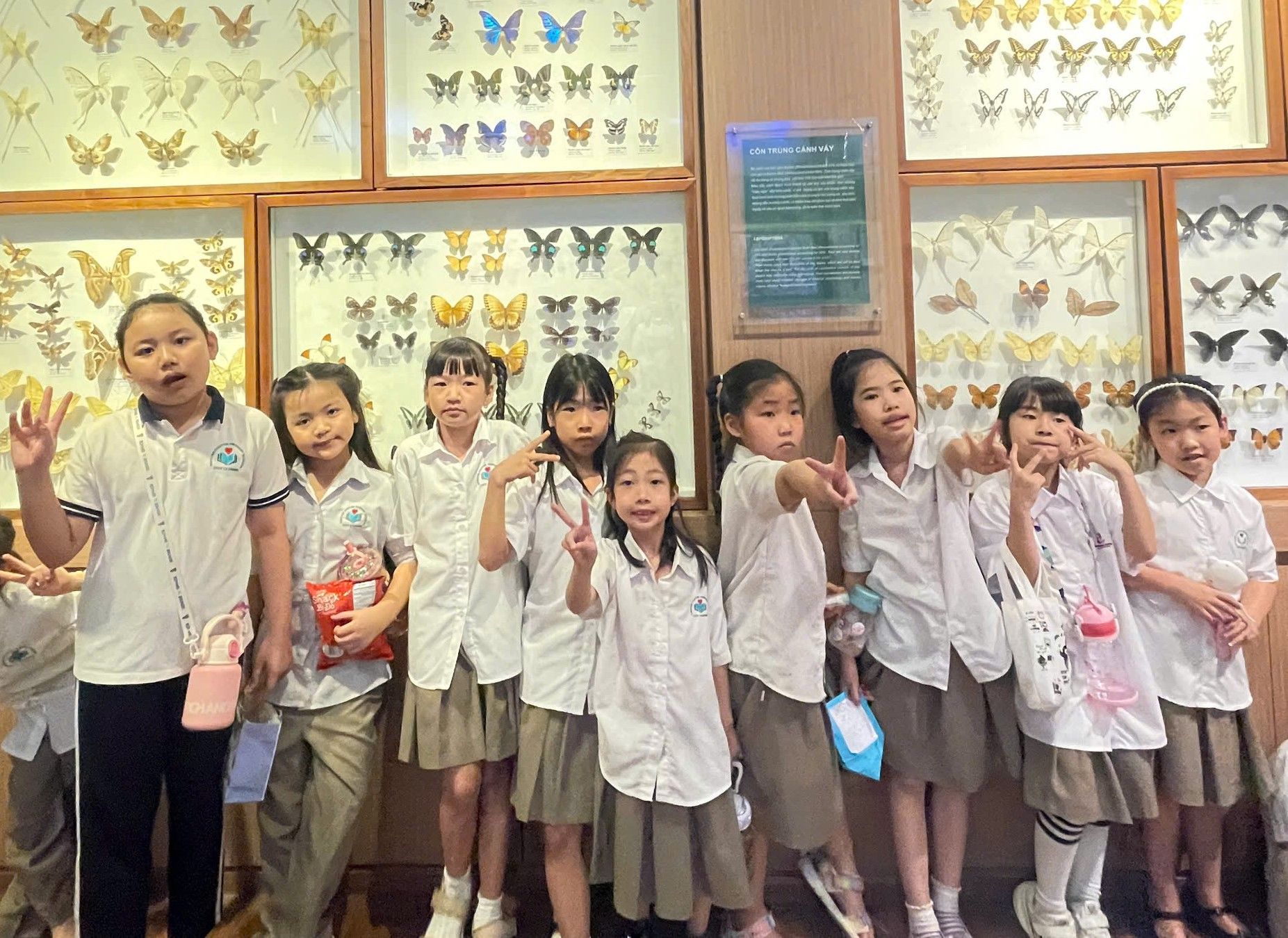 z6450685174624_38908972377aff57adfcb65413421557