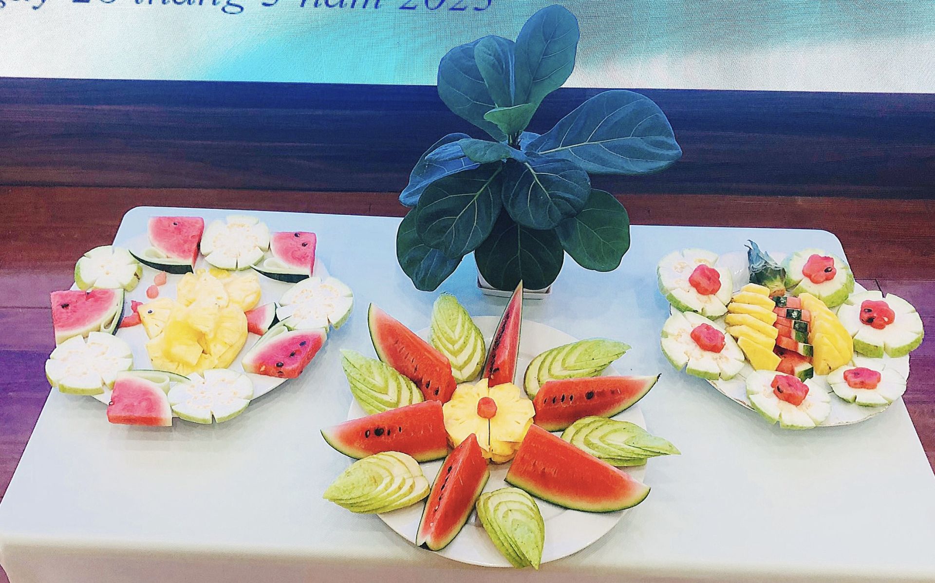 z4208594448105_c0608dde83c0117278481cb04f8678c8