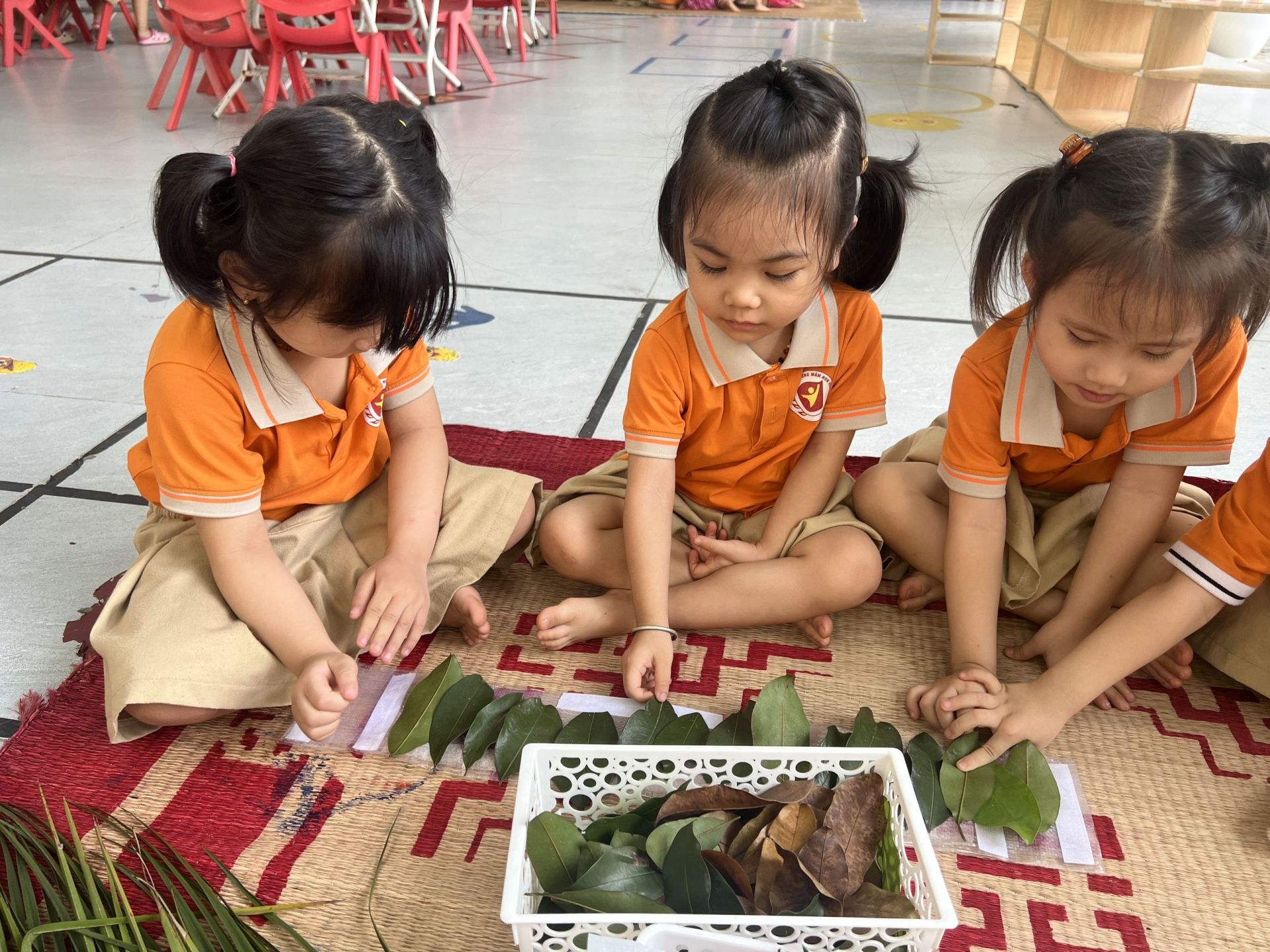 z5385849451843_5c745deaccffca814cd08a479794c750