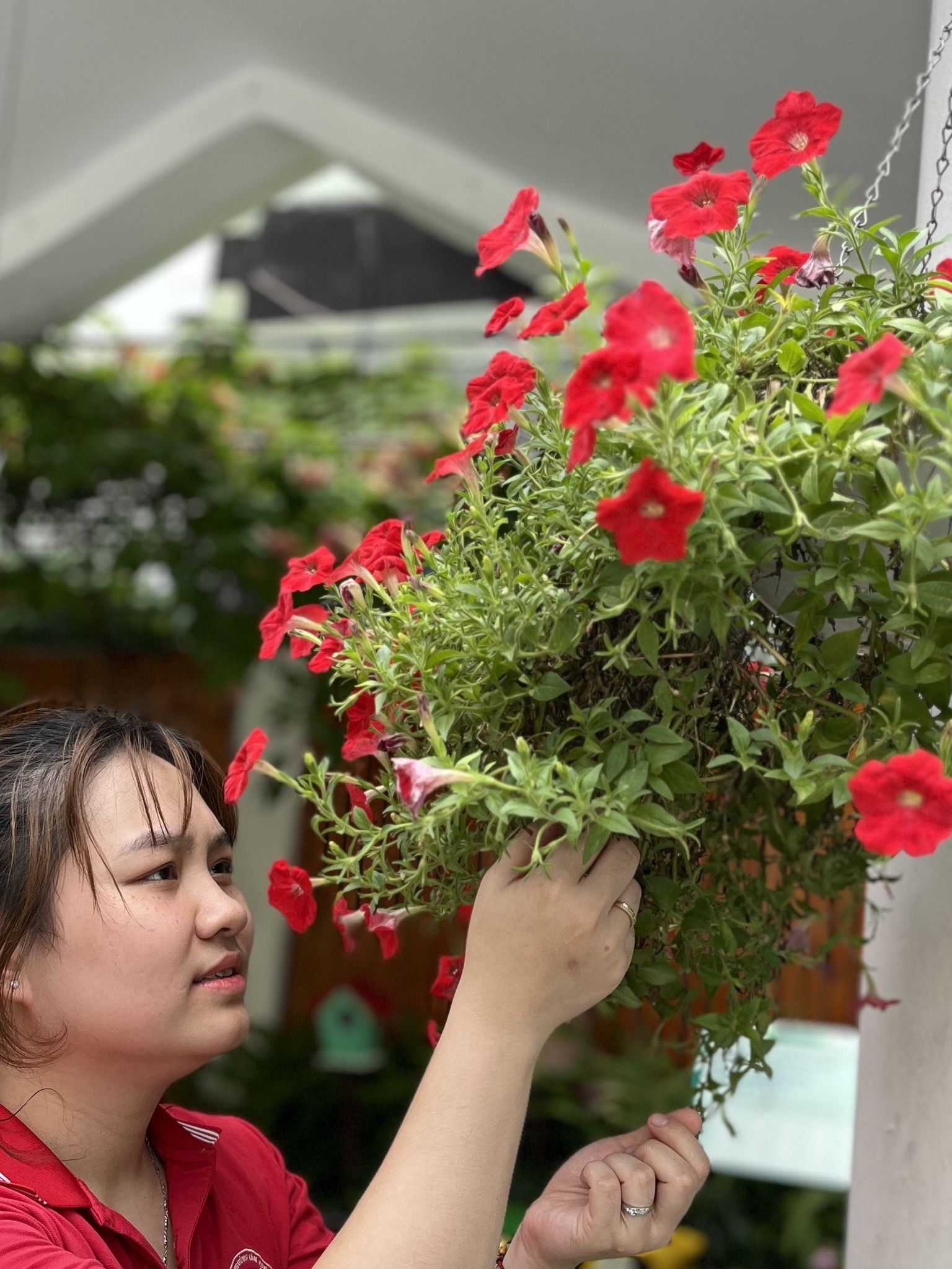 443929333_770044755275638_5380464867162137130_n