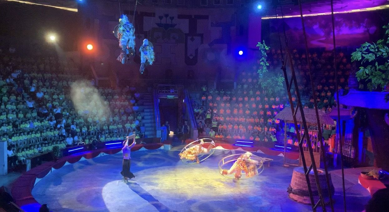 z5371671878119_2288bcec2e6de9b8bf22453fb5a164ba