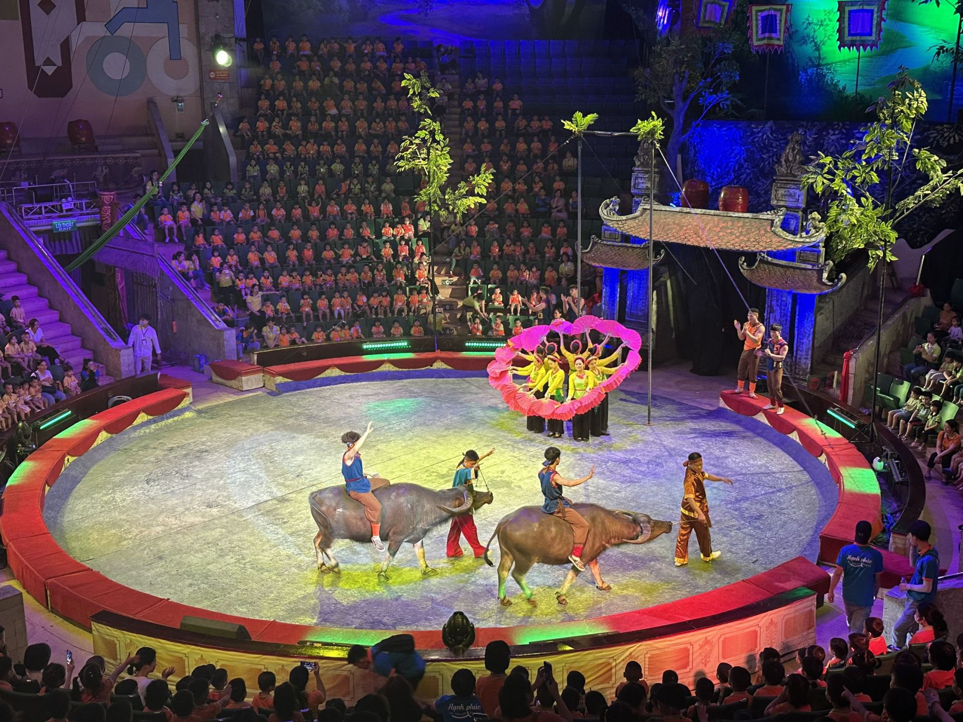 z5371701029205_1b5422d7ee62871376f2b5e2279e3b5c