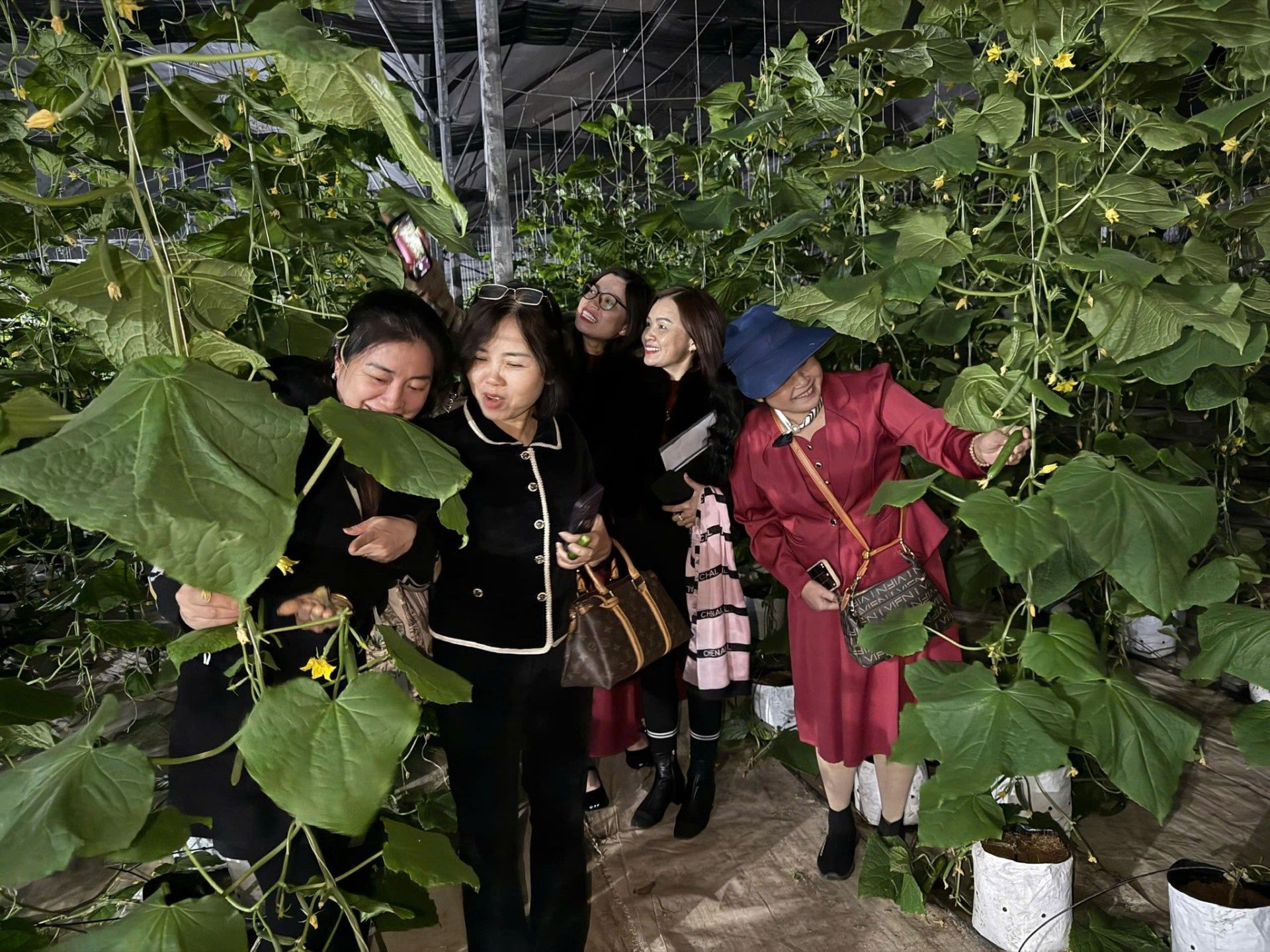 591926078_1174001141546662_429790564911140018_n