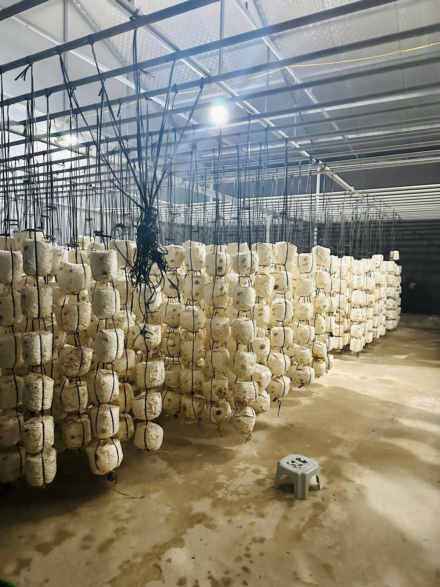 594423593_1174001551546621_8991392307674808055_n