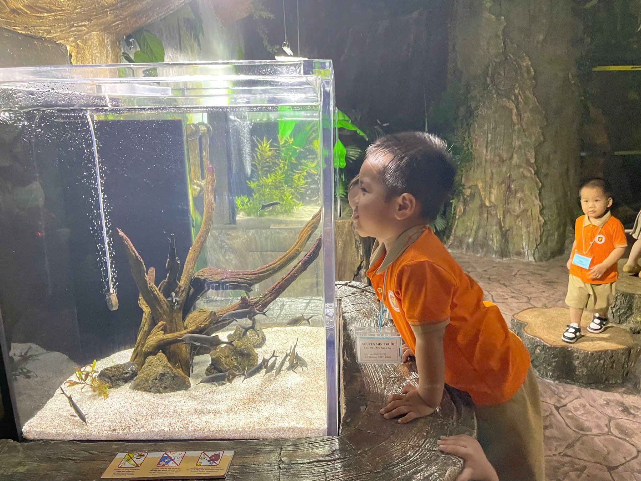 Không có mô tả ảnh.