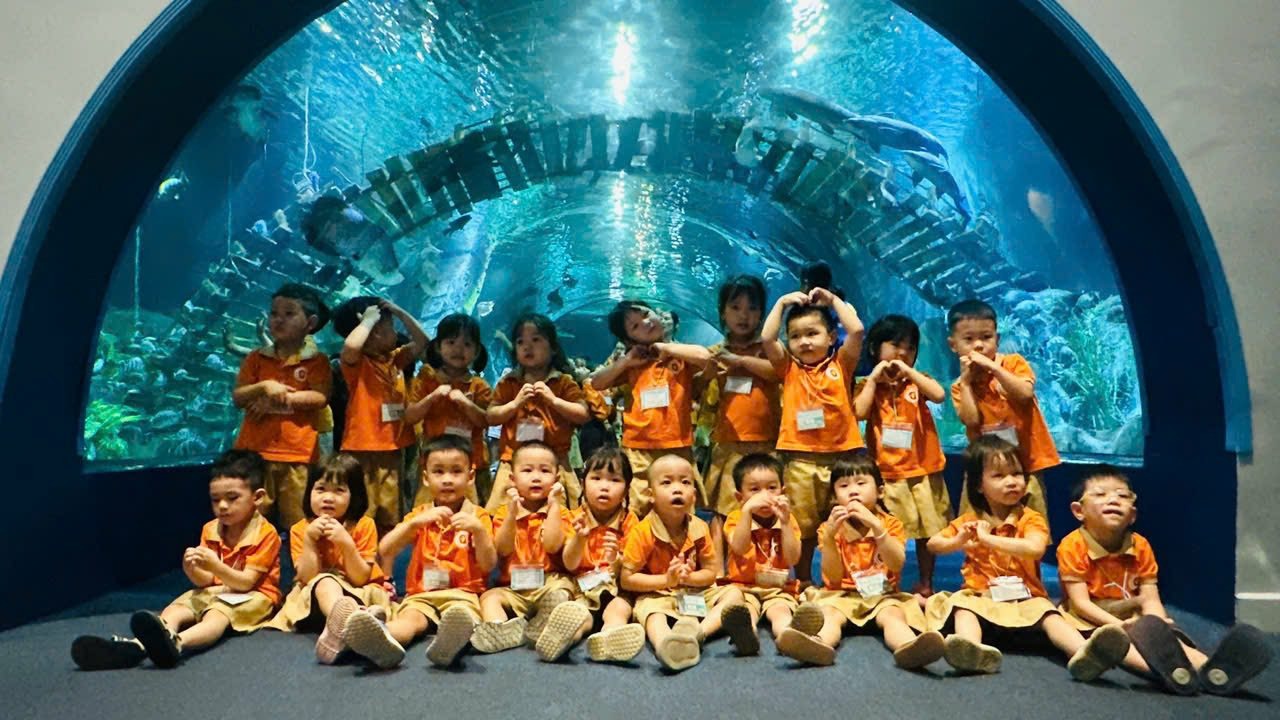 Không có mô tả ảnh.