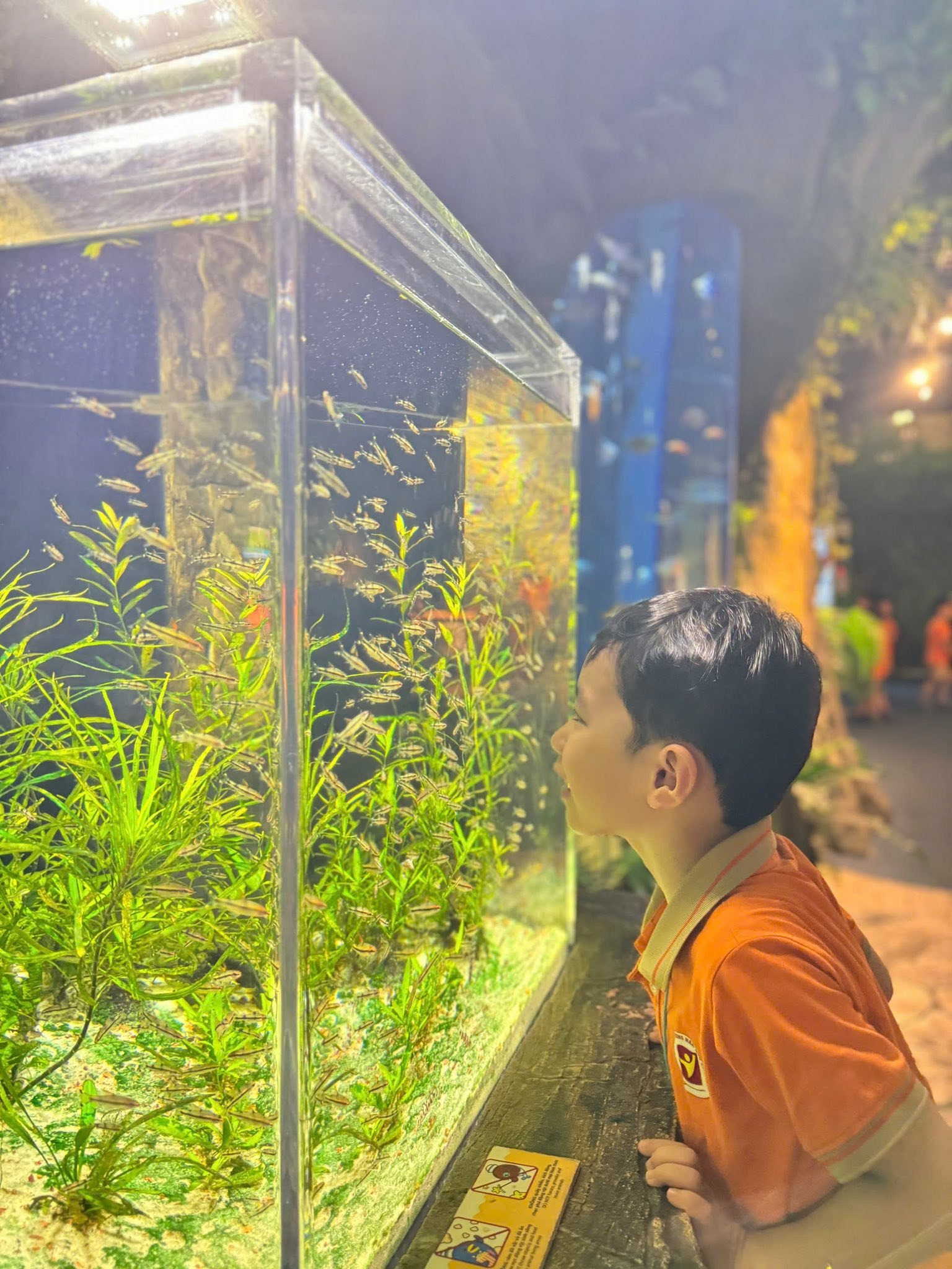Không có mô tả ảnh.