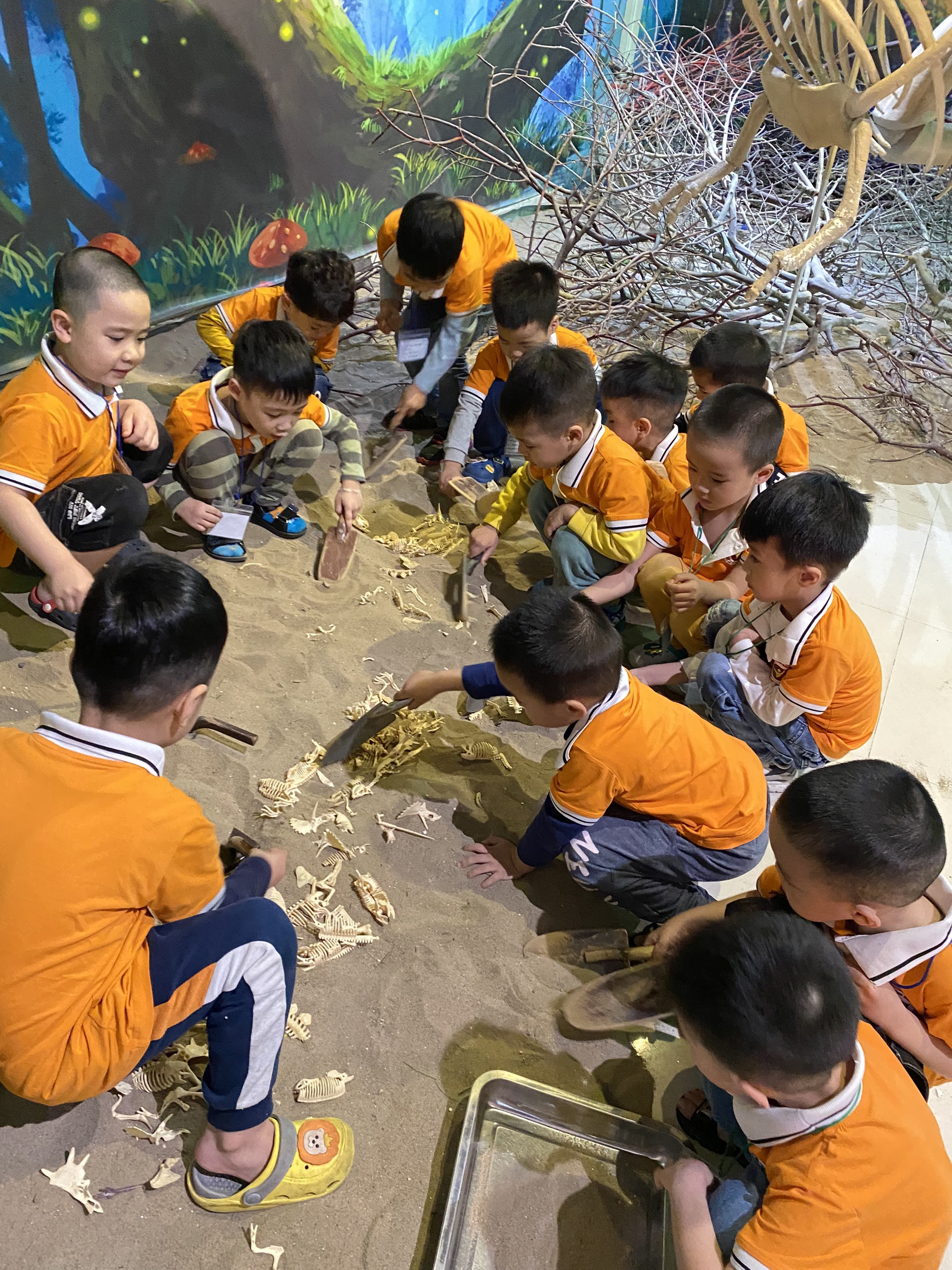 z4258553102929_4116e5e8c52dc5afe33fda9a8545ceb2