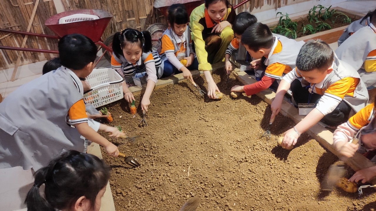 z4258559403299_d3ed02c6588df5afeedab8019504fcf2