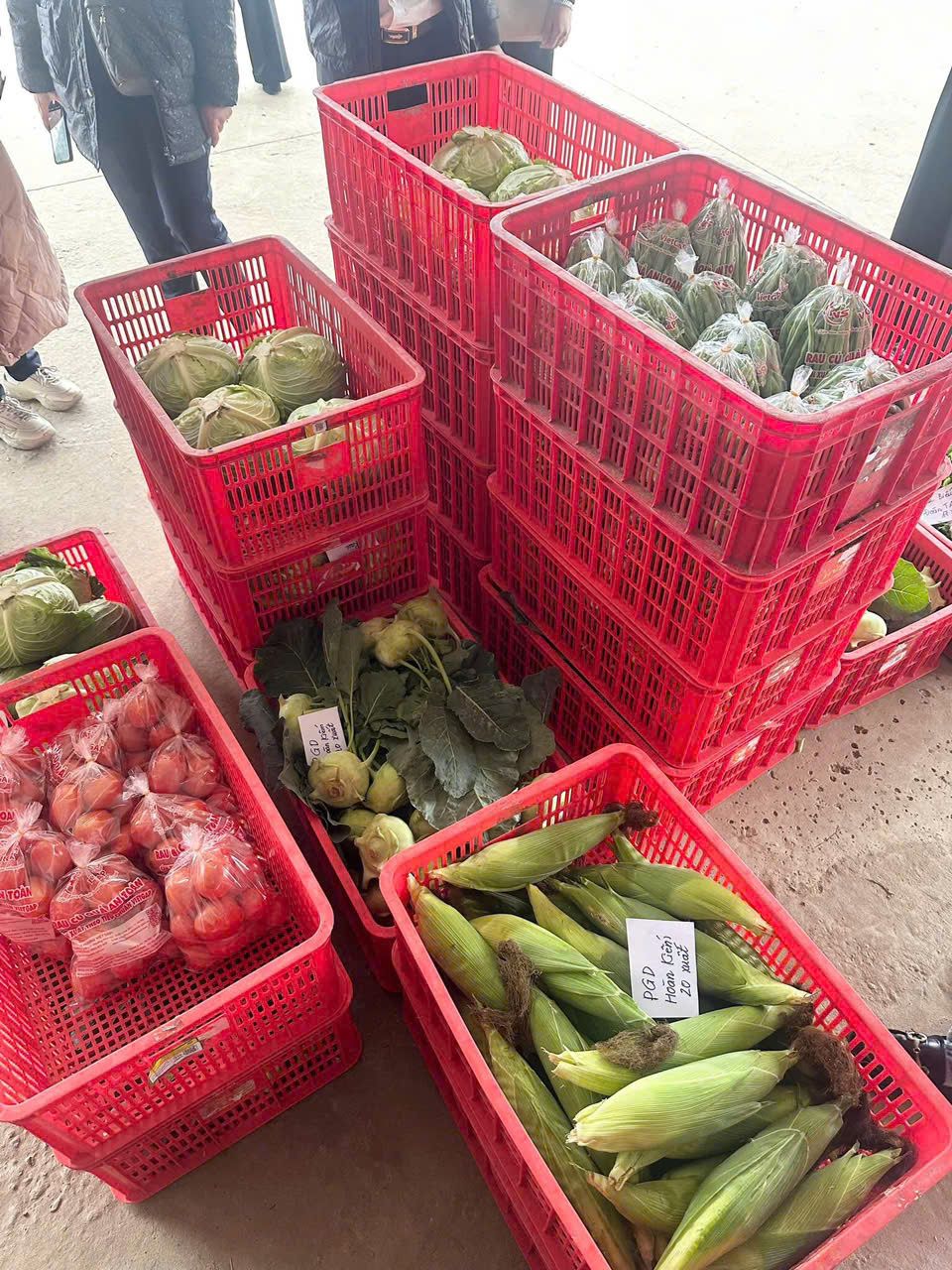 z6157357514667_64ee7ab91d877de8a999b32cce1d796a