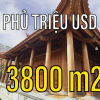 KHÁM PHÁ BÊN TRONG NHÀ GỖ TRIỆU ĐÔ TUYỆT ĐẸP  (Phần 01)