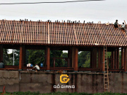 NHÀ 5 GIAN | GỖ LIM LÀO | CỦ CHI, HỒ CHÍ MINH.