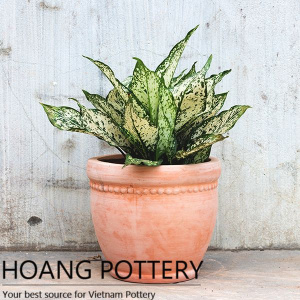 Round Pattern Red Terracotta Pots (HPTC046)