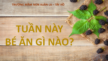 THỰC ĐƠN TUẦN NÀY BÉ ĂN GÌ NÀO?
