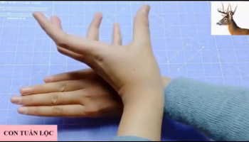 Trò chơi:  Hướng dẫn trò chơi tạo hình chiếc bóng từ đôi bàn tay - GV: Lại Lan Anh