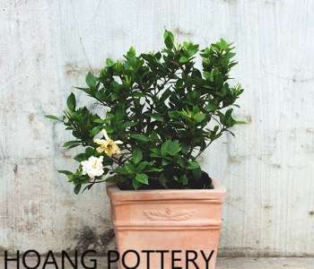 Balconies and porches with planter pots