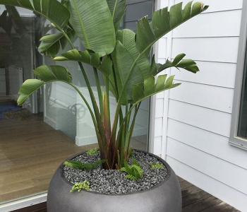 Why choosing light concrete planters for patio.