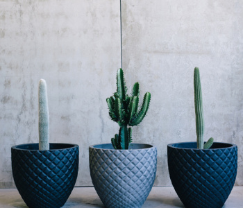 What is lightweight concrete planter and rustic pot