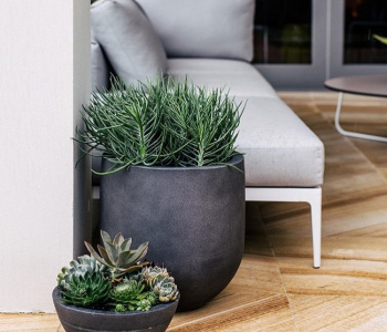 Decorating outdoor spaces with concrete pots