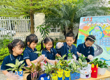 Gieo mầm xanh - Hồi sinh nhựa