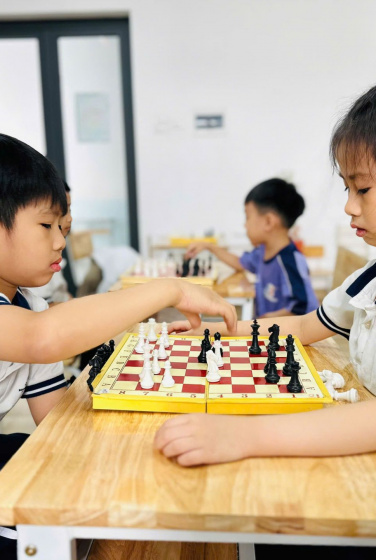 Giải đấu cờ vua 2025