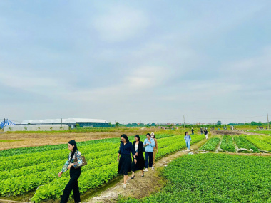 Công Khai - Minh Bạch - An Toàn Thực Phẩm Bữa Ăn Học Đường của Trường TH Nguyễn Khuyến.