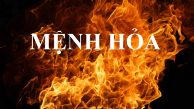 Nhà Gỗ Hợp Mệnh Hỏa : Mộc Mang Lại Tài Vận Cho Gia Chủ Hành Lửa