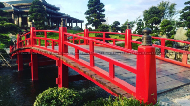 Tổng hợp những ý tưởng thiết kế nhà gỗ sân vườn đẹp nhất hiện nay