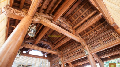 Tìm Hiểu Về Gỗ Lim Lào : Vị Vua Trong Làng Gỗ