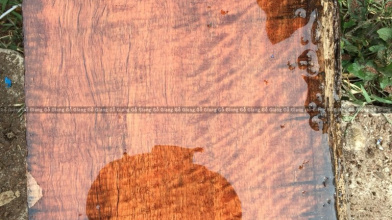 Cần bán Cột gỗ Hương Lào quý và hiếm