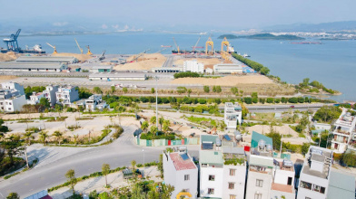 Bước đầu lắp dựng nhà gỗ cổ truyền tại Quảng Ninh