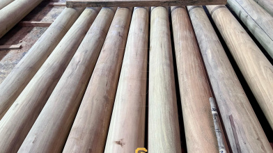 Tìm hiểu về các loại gỗ tự nhiên trong thiết kế, thi công nội thất