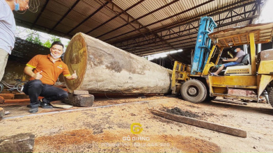 Chia Sẻ Kinh Nghiệm Chọn & Xẻ Gỗ | Lim Châu Phi | Nhà Gỗ 5 Gian