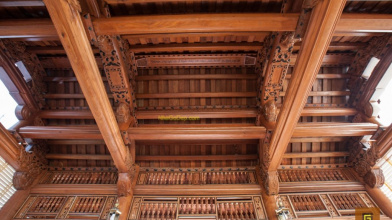 Kiến thức bạn nên biết: Rui mè là gì?