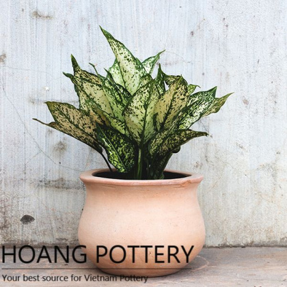 Antique Round red Terra cotta Urn Pot (HPTC003)