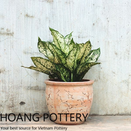 Dramatic Design Red Clay Pot (HPTC027)
