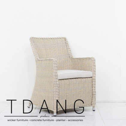 Martinez Wicker Dining Chair (TD2019)