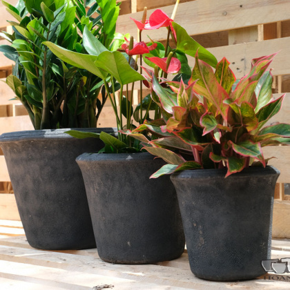 Black ceramic bonsai pot