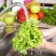 PHÍA SAU BỮA ĂN BÁN TRÚ TRÒN DINH DƯỠNG: QUY TRÌNH SƠ CHẾ NGUYÊN LIỆU SẠCH TẠI TRƯỜNG TIỂU HỌC NGUYỄN KHUYẾN.